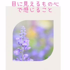 2024/08/21の画像