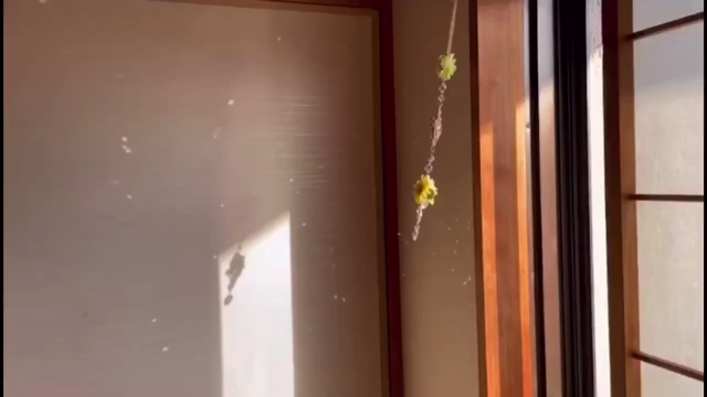 ドリームサンキャッチャーが届きました♡キラキラ輝いています【お客さまご感想】の記事動画