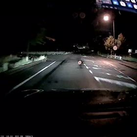 プジョー 308 夜道  鹿と遭遇の画像