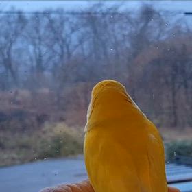 荒れてきました～の画像