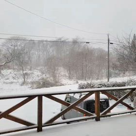 寒くないそうですの画像