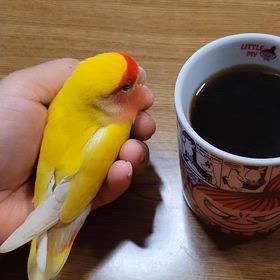 春が来たか？の画像