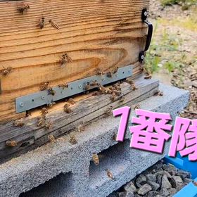 新隊爆誕‼️の画像
