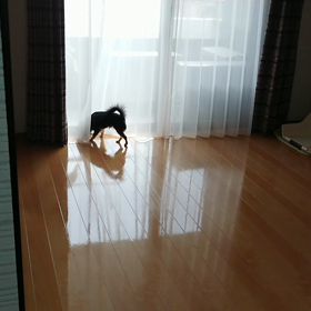 誘う音色の画像