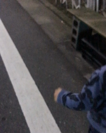 愛しくて…の記事動画