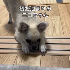 2024/06/29の画像
