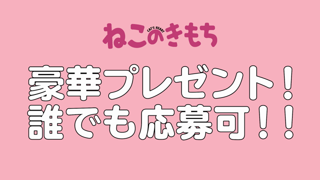 ねこのきもちwebＣＭ撮影の記事動画
