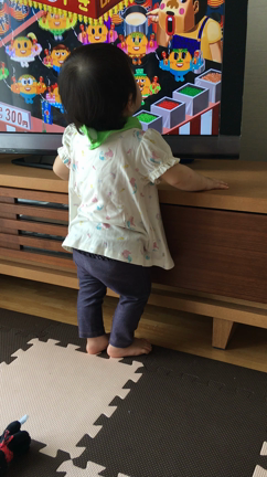 1年。の記事動画