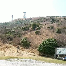 穀雨の画像
