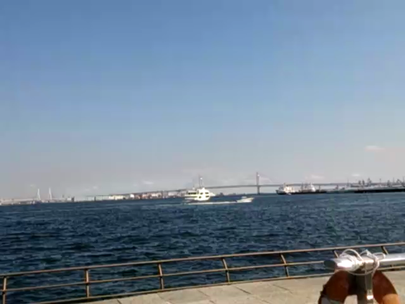 海の記事動画