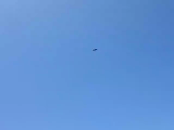 海の記事動画