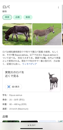 スマホで検索♪の記事動画