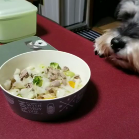 食欲の秋…かな…(陽向)の画像