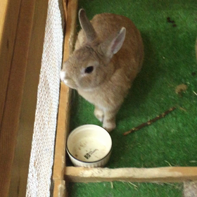 おまけ動画の画像