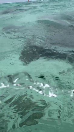クラブメッド・石垣カビラ3日目②の記事動画