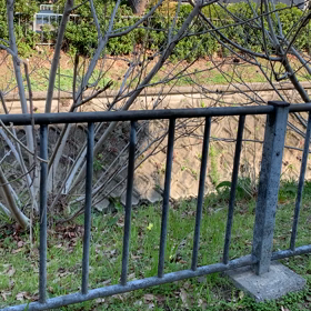 ほぉー。の画像