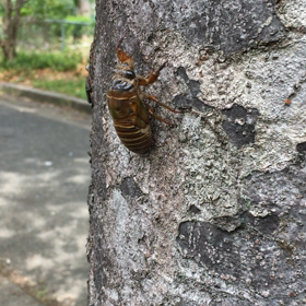 すげぇね。の画像