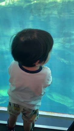 3歳4ヶ月9日目〜初ユニバ満喫しました〜の記事動画