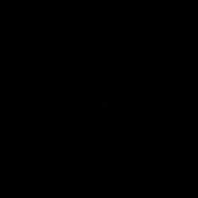 夜明け前の鳥の歌〜ナイチンゲール？の画像