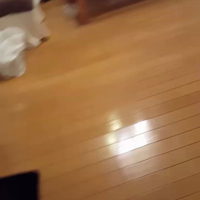 今日のぽぽの画像