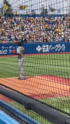 4/6、4/7 神宮球場へ行ってきました。の記事動画