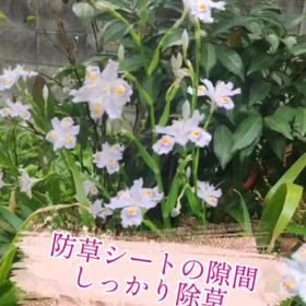 2025/04/20の画像