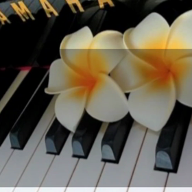 体験レッスン→ご入会～小山市 ピアノ教室N piano music schoolの画像