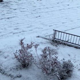 雪だーの画像