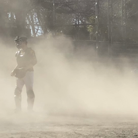 凄い風で花粉が！の画像