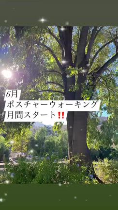 2024/06/01の記事動画