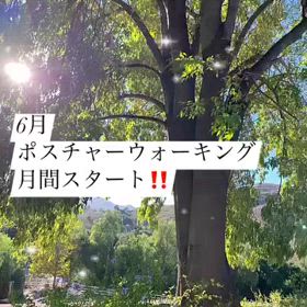 2024/06/01の画像