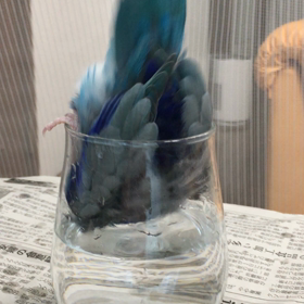 ライちゃんの今朝の洗顔の画像