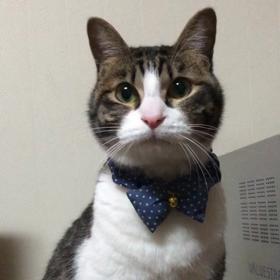 意思の疎通の画像