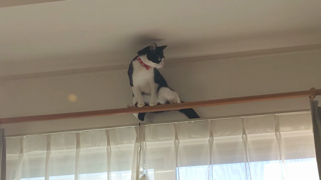続けて行くことの記事動画