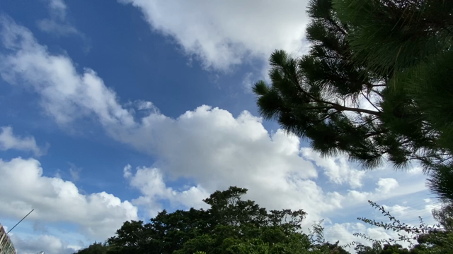 自然っていいねの記事動画