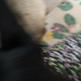 動画を見れる人は、どうぞ♡♡♡  ヽ(*´з｀*)ﾉの画像
