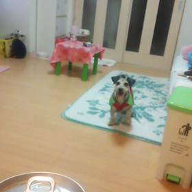 スローモーション動画の画像