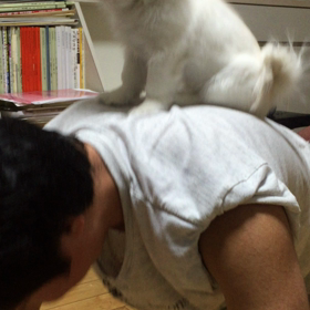 筋トレの画像