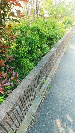 理想的な公園の記事動画