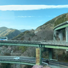 河津七滝ループ橋の画像