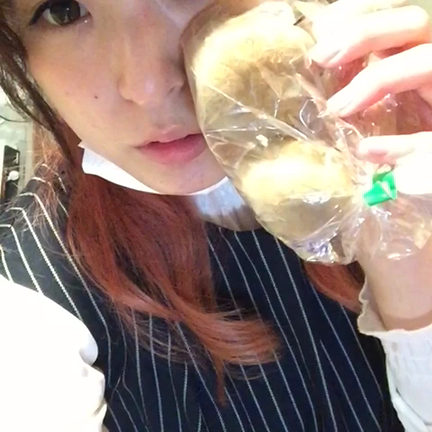 今日学んだことの記事動画
