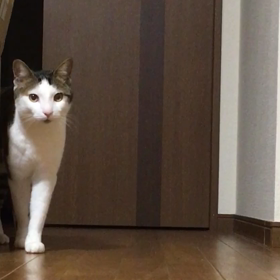 心配しましたが…の画像