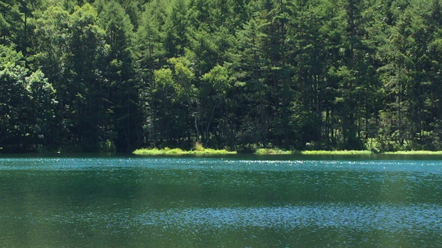 夏旅！の記事動画