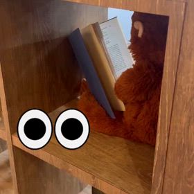 2025/04/19の画像
