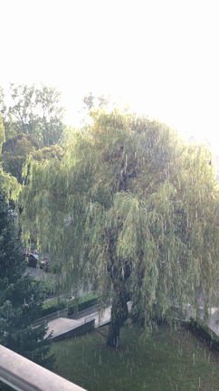 天気予報。の記事動画