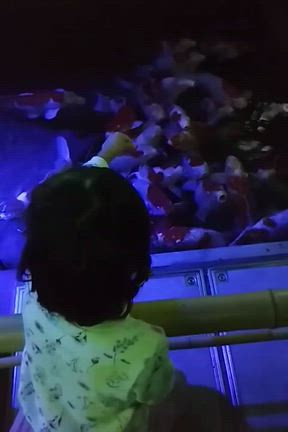 アトアに行きましたの記事動画