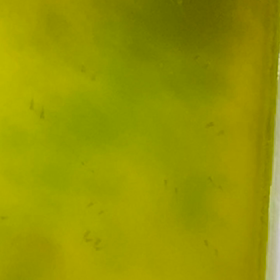 メダ活ϵ( 'Θ' )϶の画像