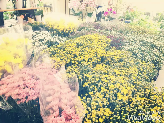 お盆のお花は関田園芸で(^-^)/の記事動画