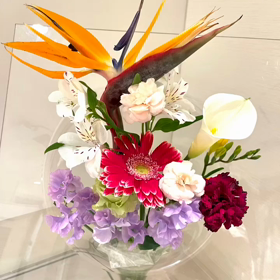 プライド今週のお花の画像