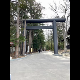 久々に足を伸ばしての画像